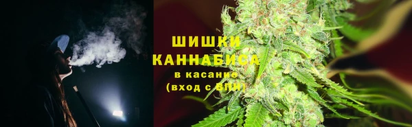 apvp Лиски