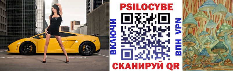 Купить  Красный Холм  Псилоцибиновые грибы мицелий 